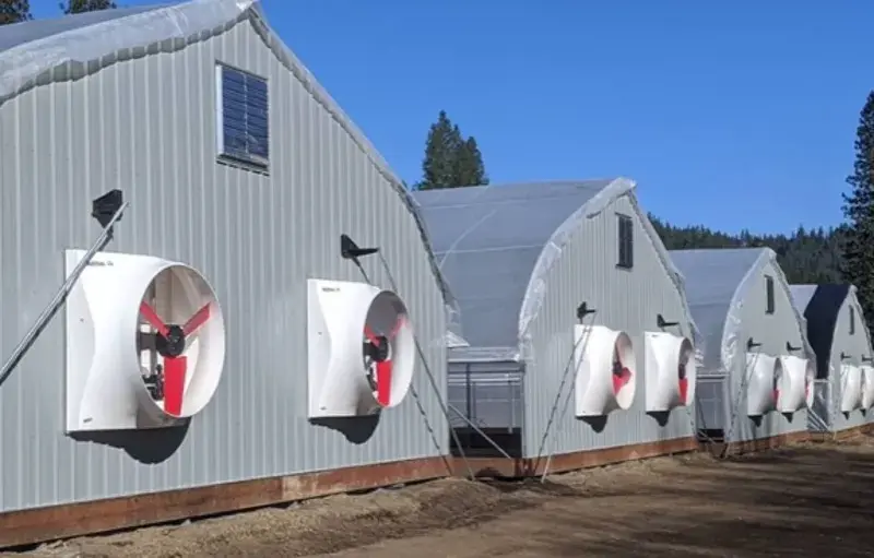 Agricultural buildings with large ventilation fans on the exterior walls