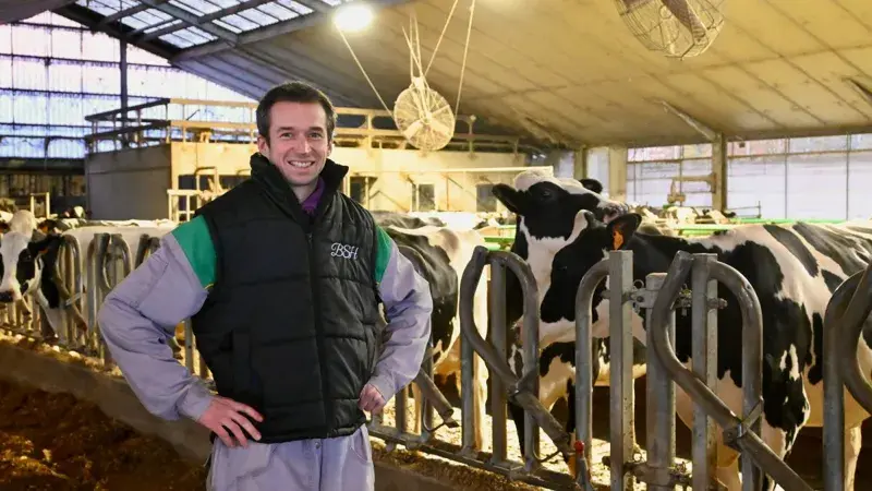 Homme debout dans un bâtiment d'élevage de vaches laitières avec des vaches en arrière-plan