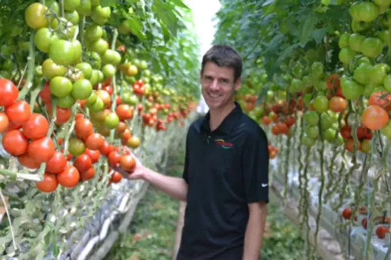 Hombre de pie en un invernadero entre tomateras