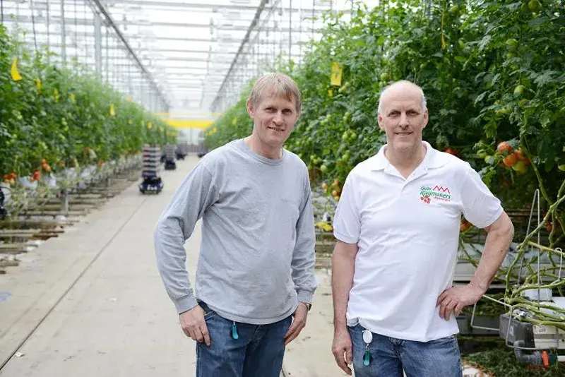 Twee mannen poseren in een kas vol tomatenplanten