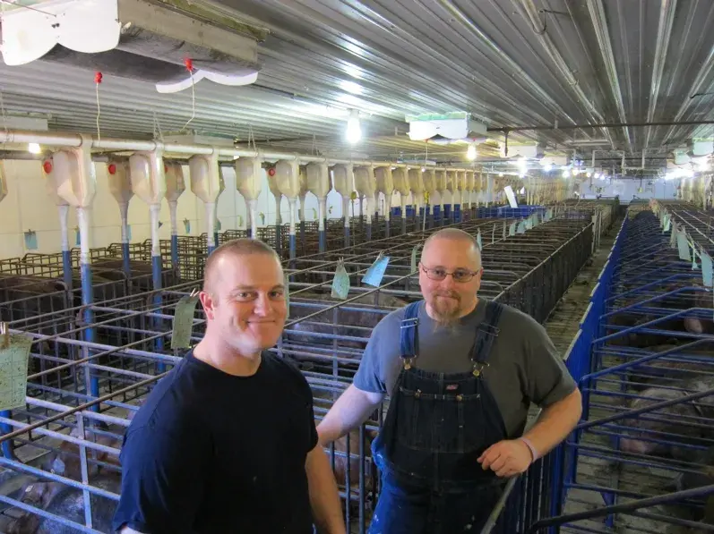 Twee mannen staan in een grote binnenvarkensboerderij met rijen hokken