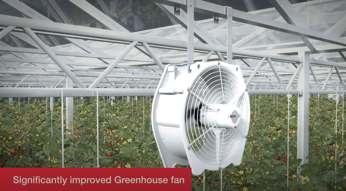 Multifan Greenhouse Fan